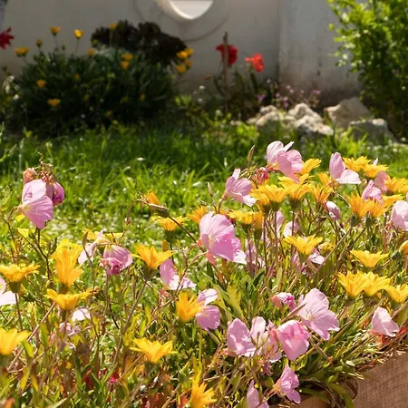 Teta's Tatil Evi *